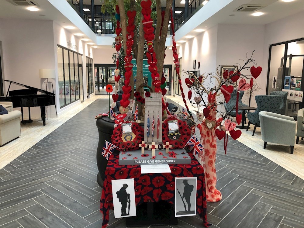 Retirement village residents honour bygone era with Remembrance Day display