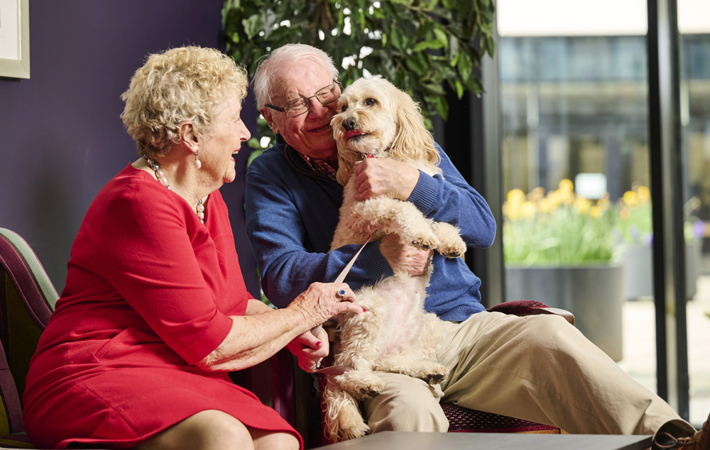 Hagley Road village pets