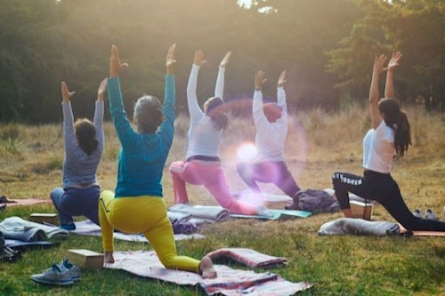 What type of yoga is best for older adults? – Our New Oscott Village yoga instructor explains!