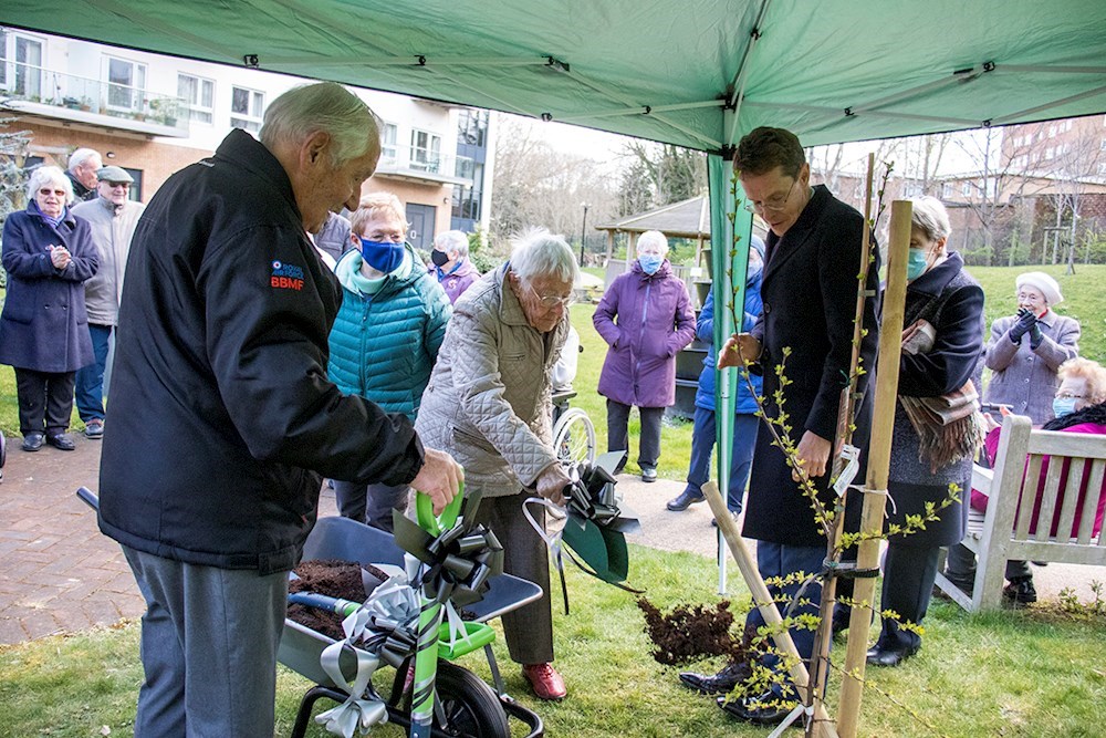 Jubilee tree at Bournville Retirement Village