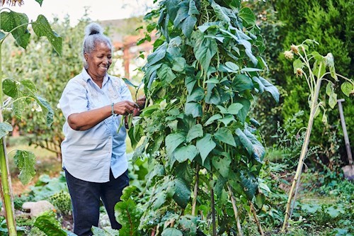 4 wellbeing benefits of gardening