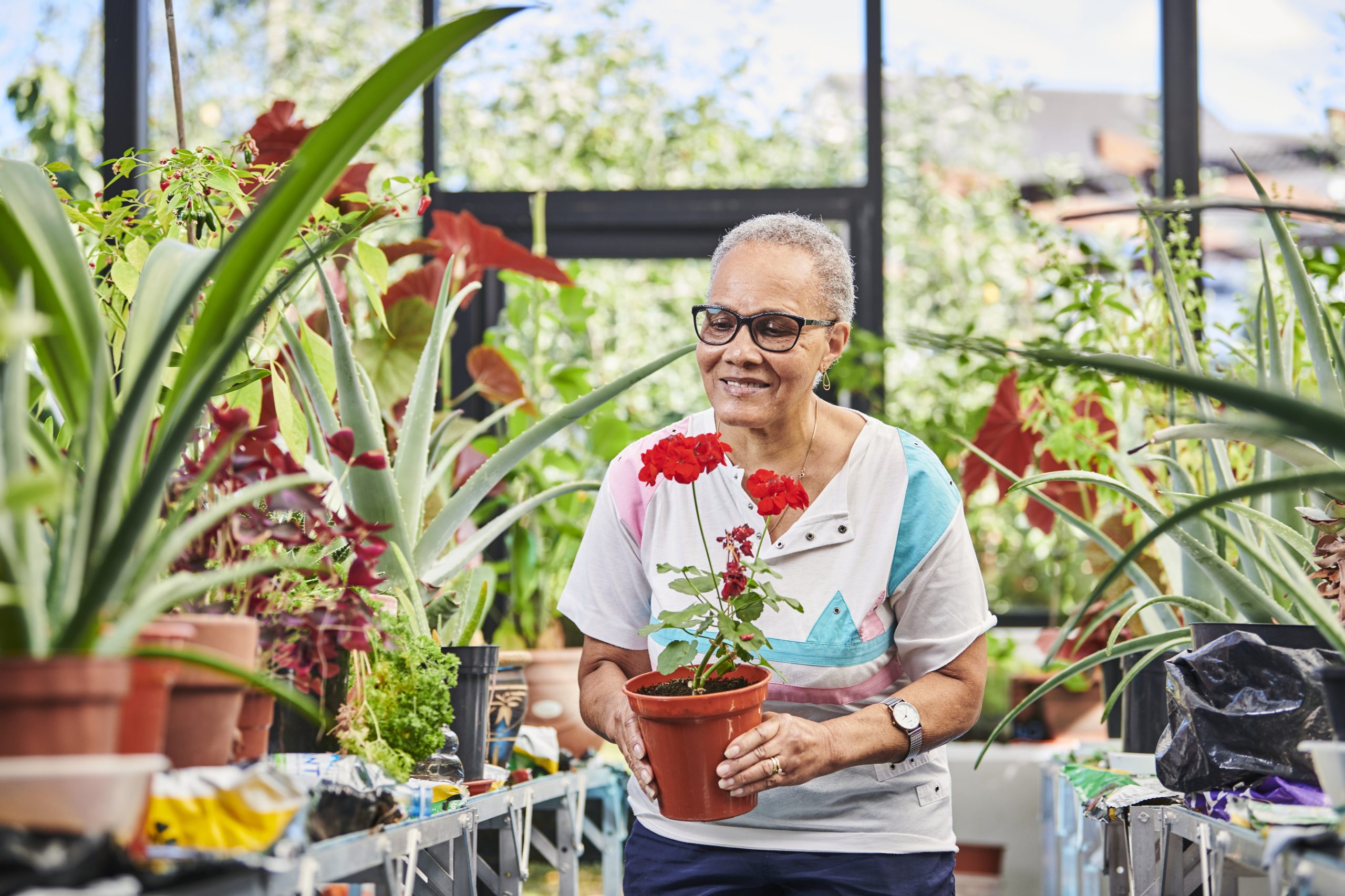 Retirement village gardens