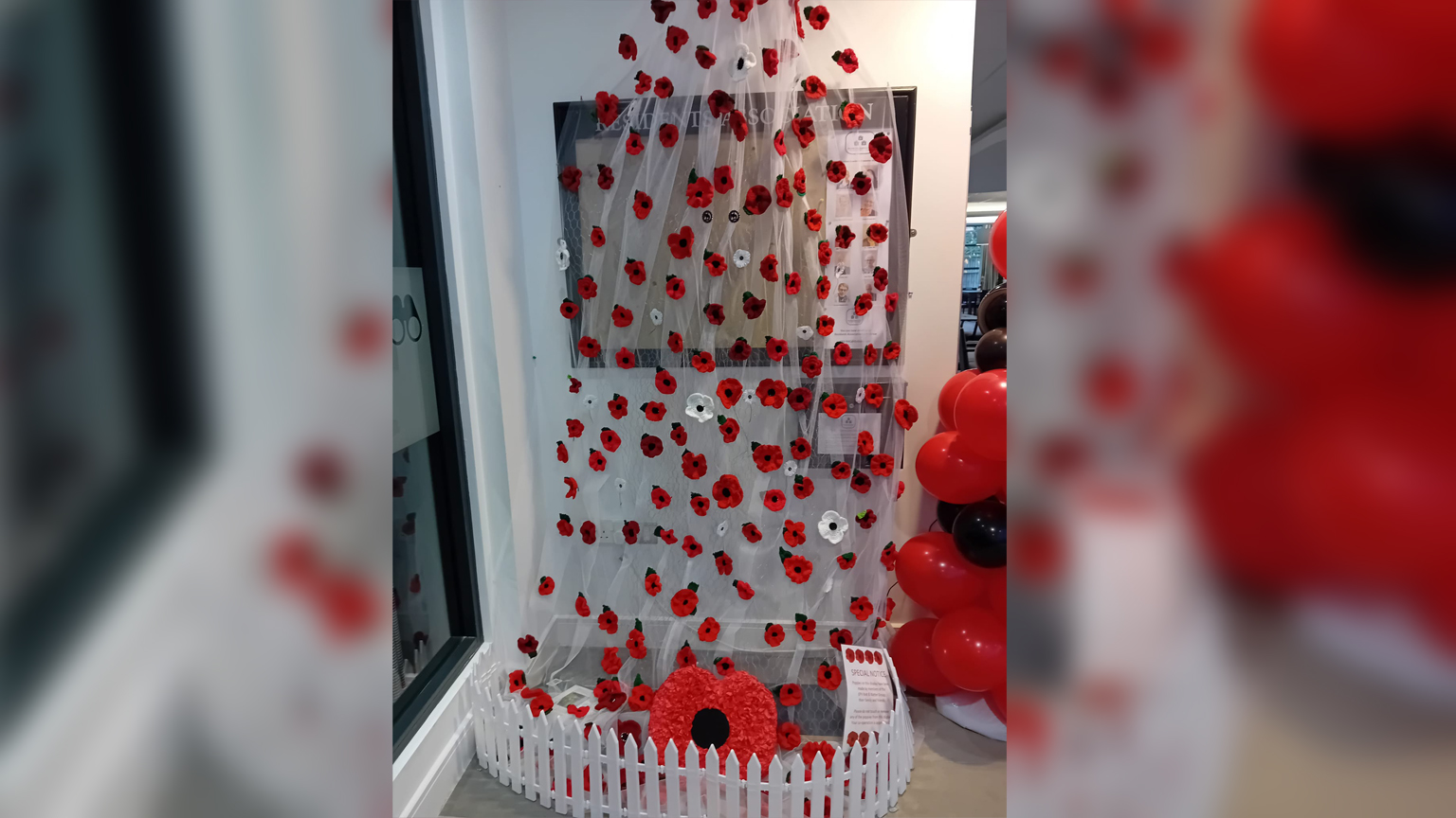 Knitted poppy display at Earlsdon Park