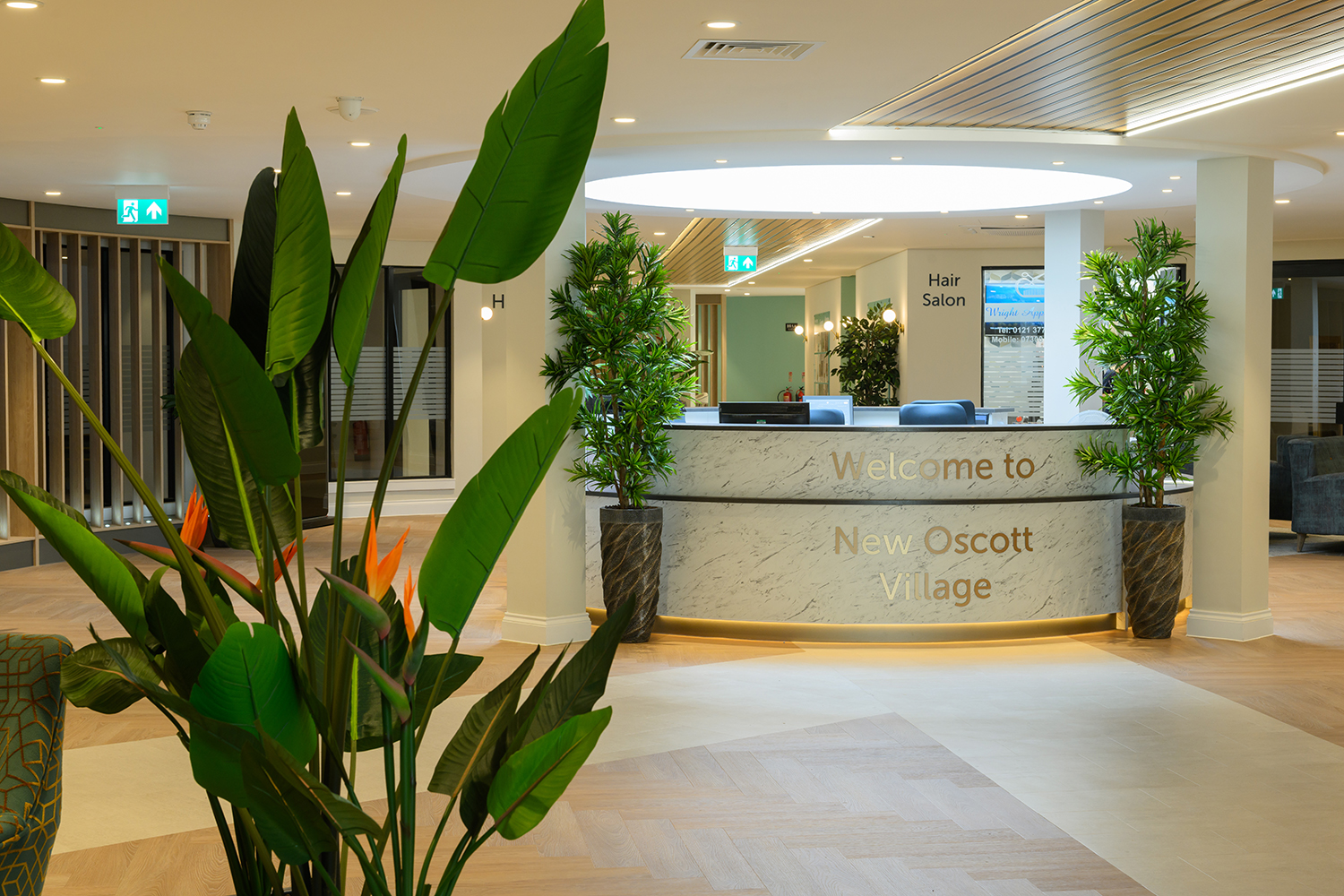 A plant and the new curved reception desk.